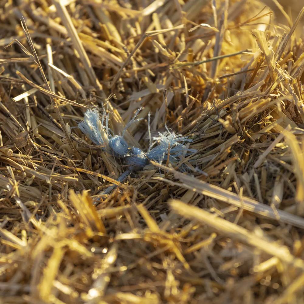 COTESI Spago polipropilenico flessibile (2 rotoli) - Image 8