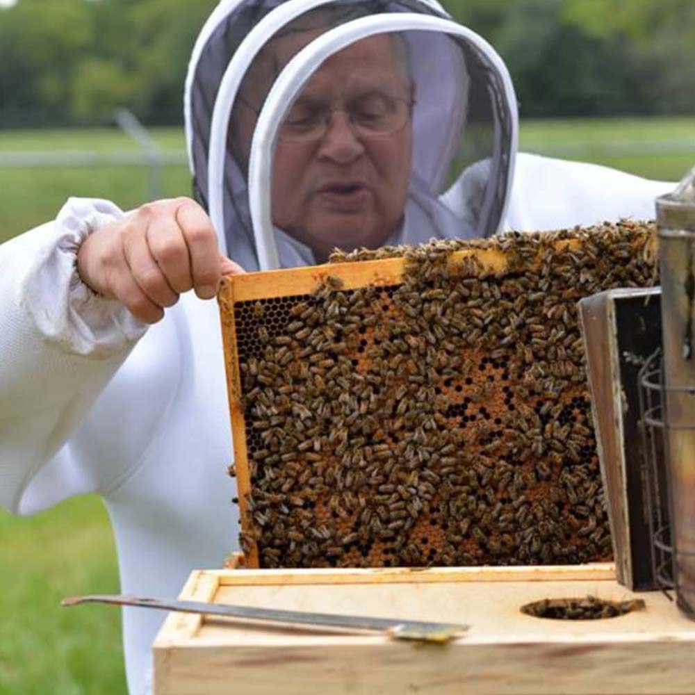 Crema Protettiva APIZIN - Protezione Efficace Contro le Punture delle Api - Image 4