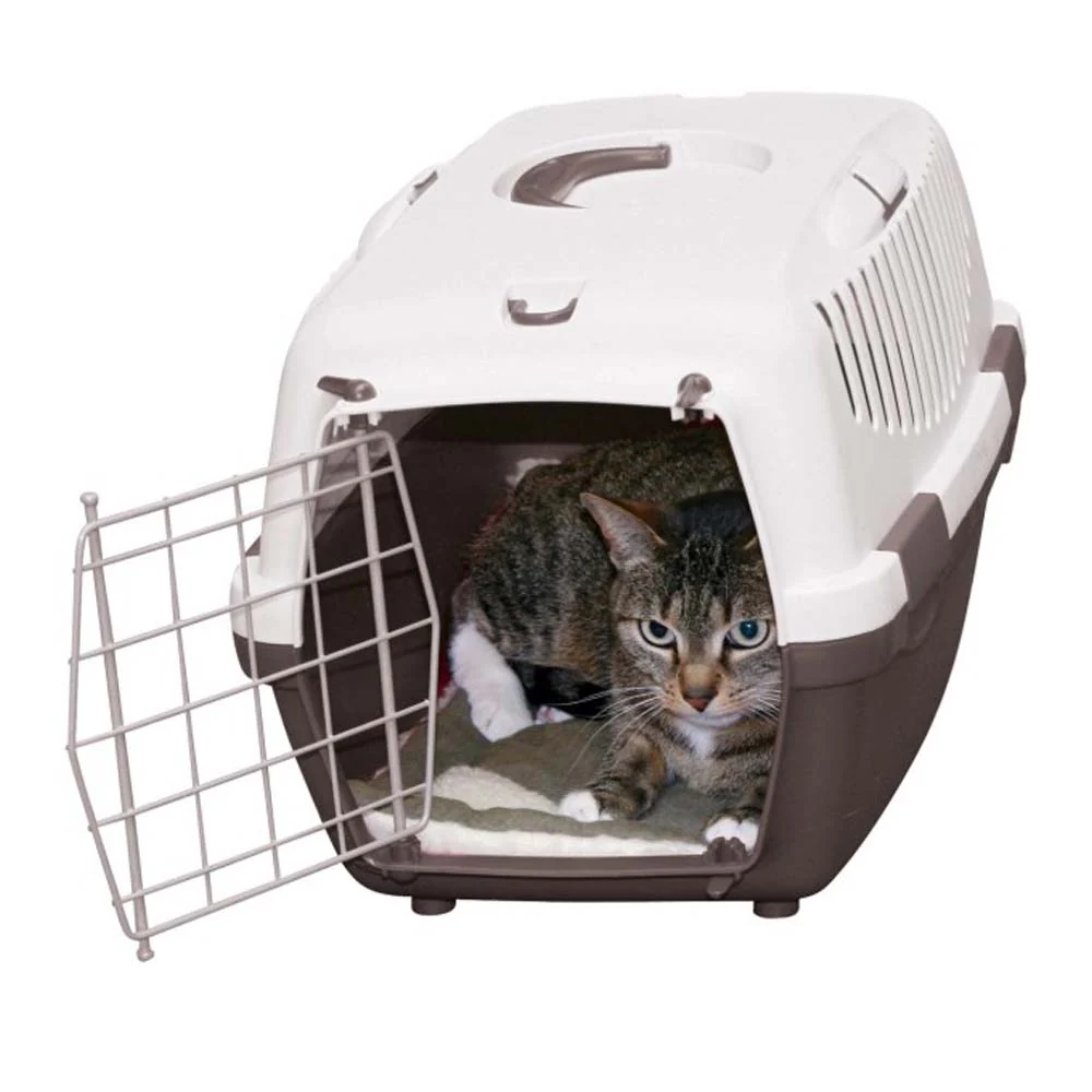 Cuscino da Pavimento Cleo per Cani e Gatti - Image 7