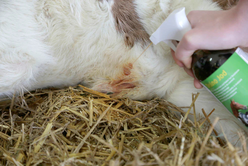 Desino Jod Plus spray disinfettante per tutti i tipi animali - Image 2