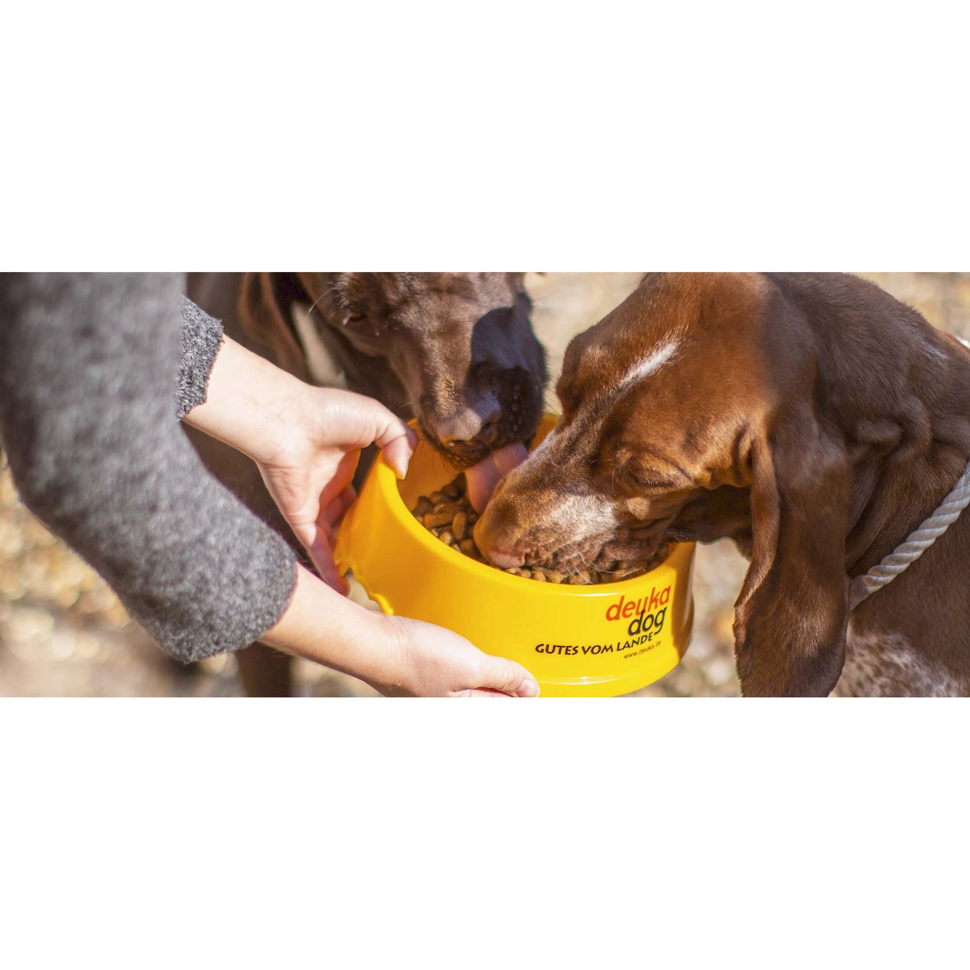 Deuka Vollwertkost 15 Kg Alimento completo per cani adulti con scaglie - Image 6