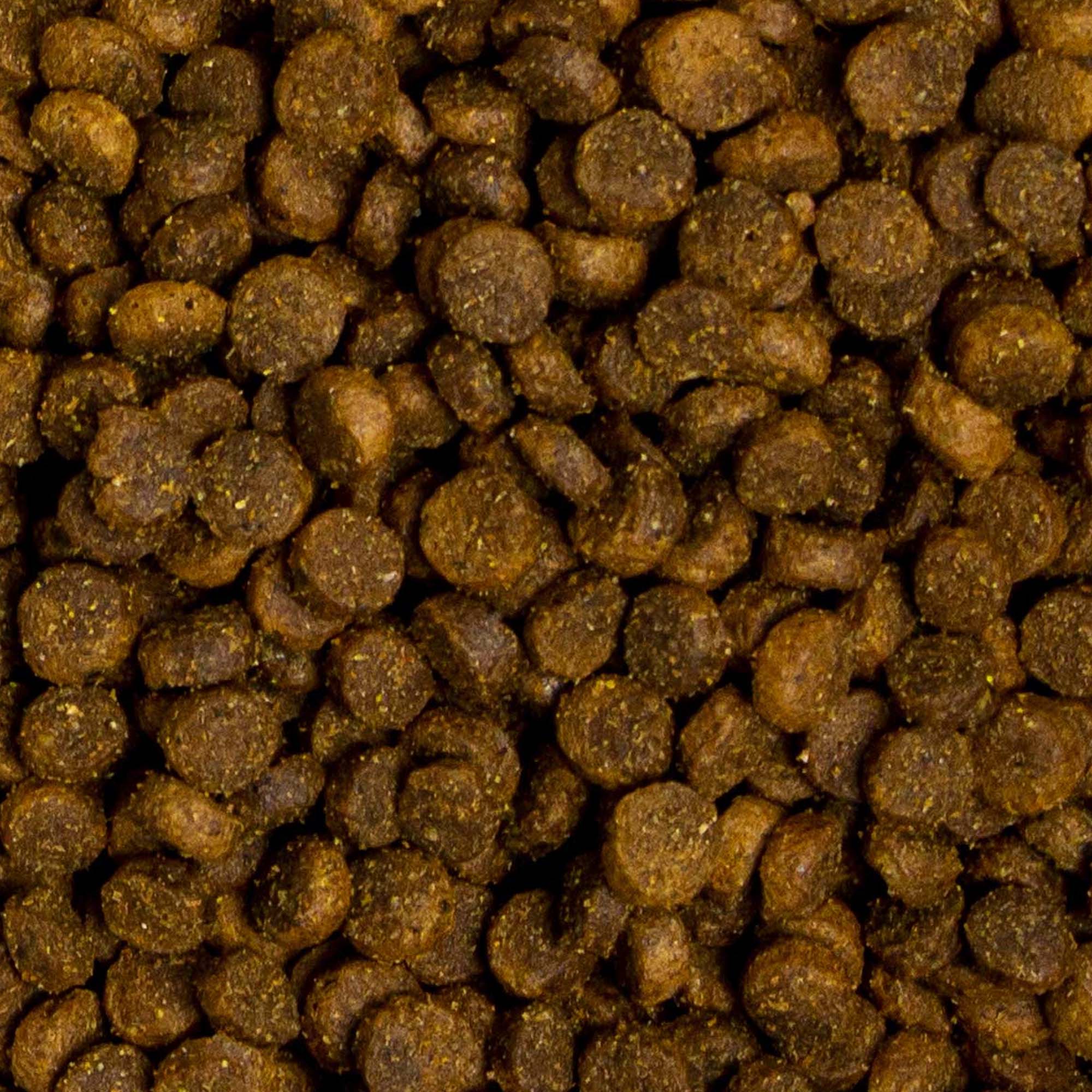 Deuka Welpenkost | cibo secco per cuccioli - Image 2