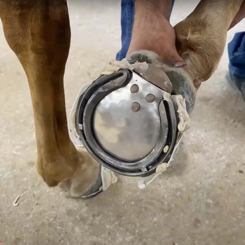 Equilox I e II Bianco - 420 ml | Adesivi Professionali per Riparazione Zoccoli - Image 5