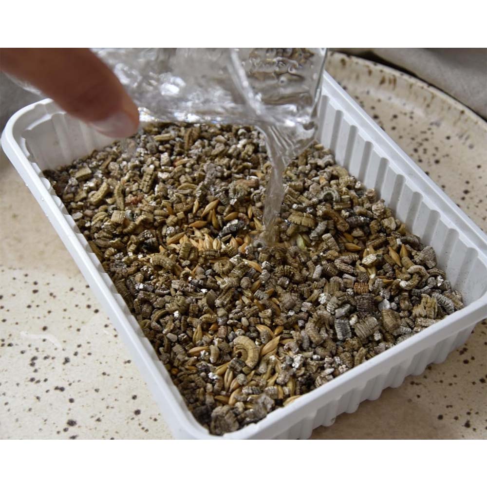 Erba Gatta - Integratore Alimentare per Gatti Domestici - Image 3