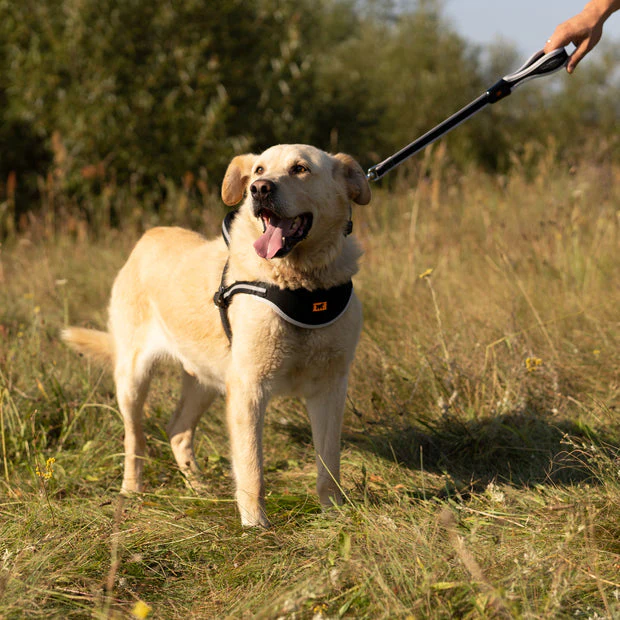 Ergo Comforts G Guinzaglio in nylon con impugnatura ergonomica Per Cani - Image 2