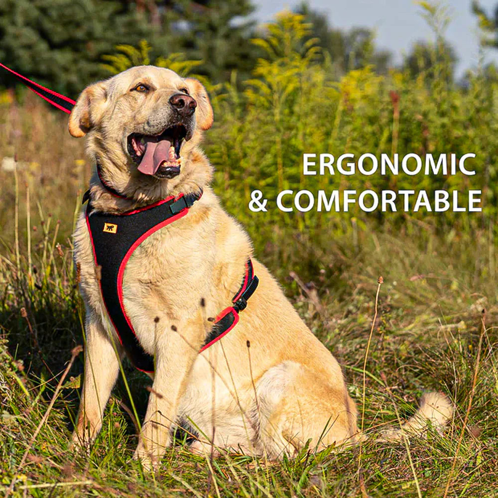 ERGOCOMFORT P - Pettorina Ergonomica con Microregolazione - Image 14