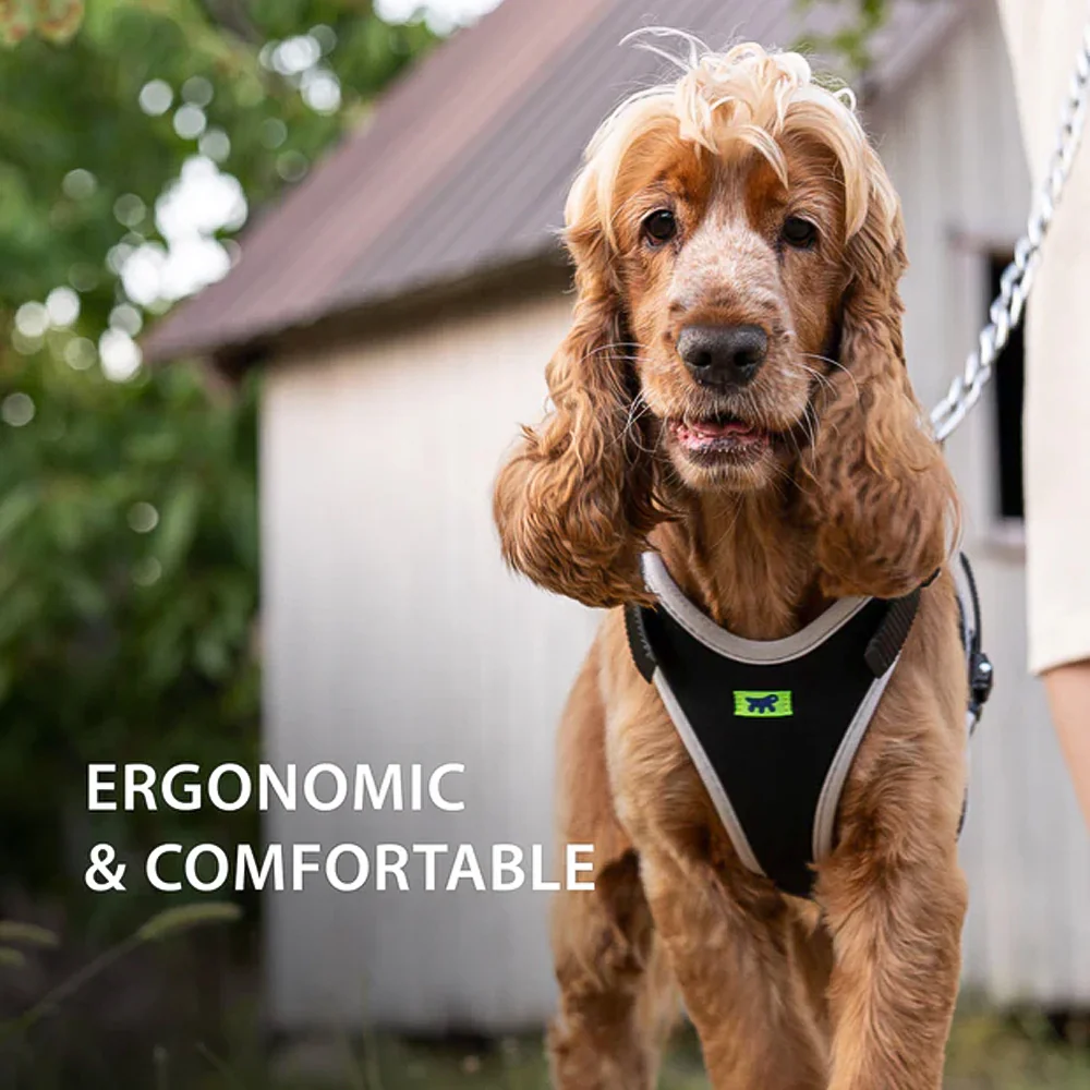 ERGOCOMFORT P - Pettorina Ergonomica con Microregolazione - Image 2