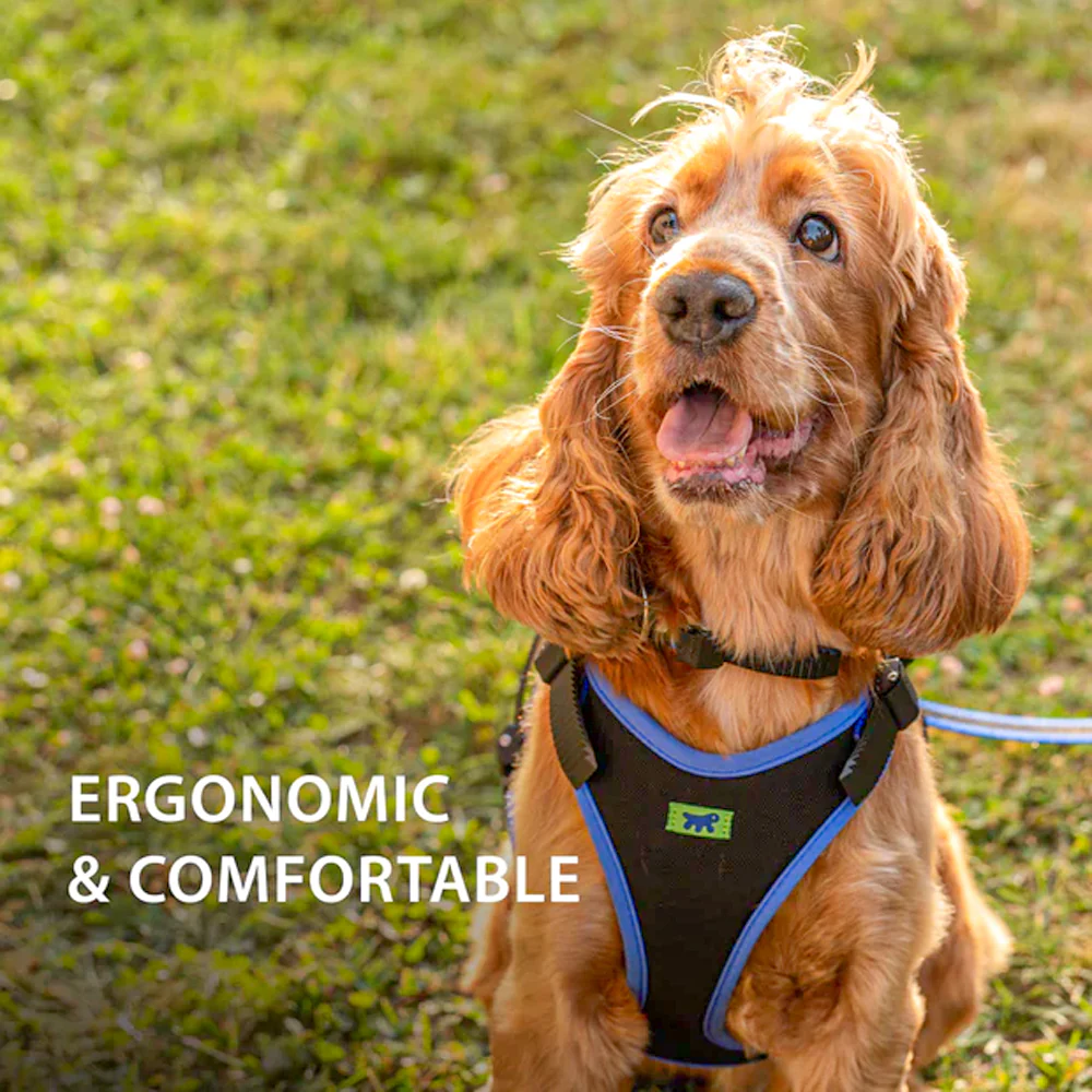 ERGOCOMFORT P - Pettorina Ergonomica con Microregolazione - Image 20