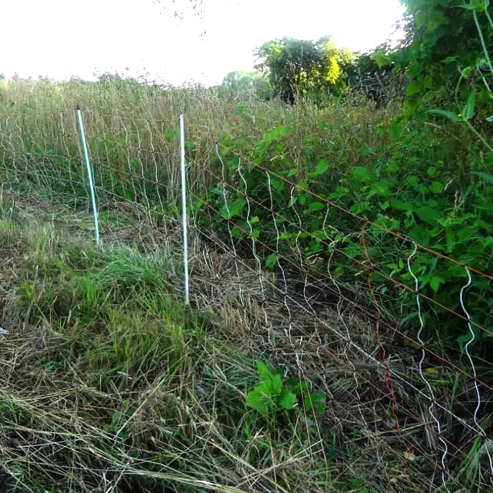 Euronetz- Kombinetz-Reti per recinzioni – modelli singoli e doppi con pali di ricambio - Image 7