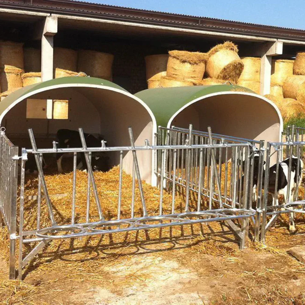 Gabbia per vitelli Loda Fibra di vetro 5 Vitelli