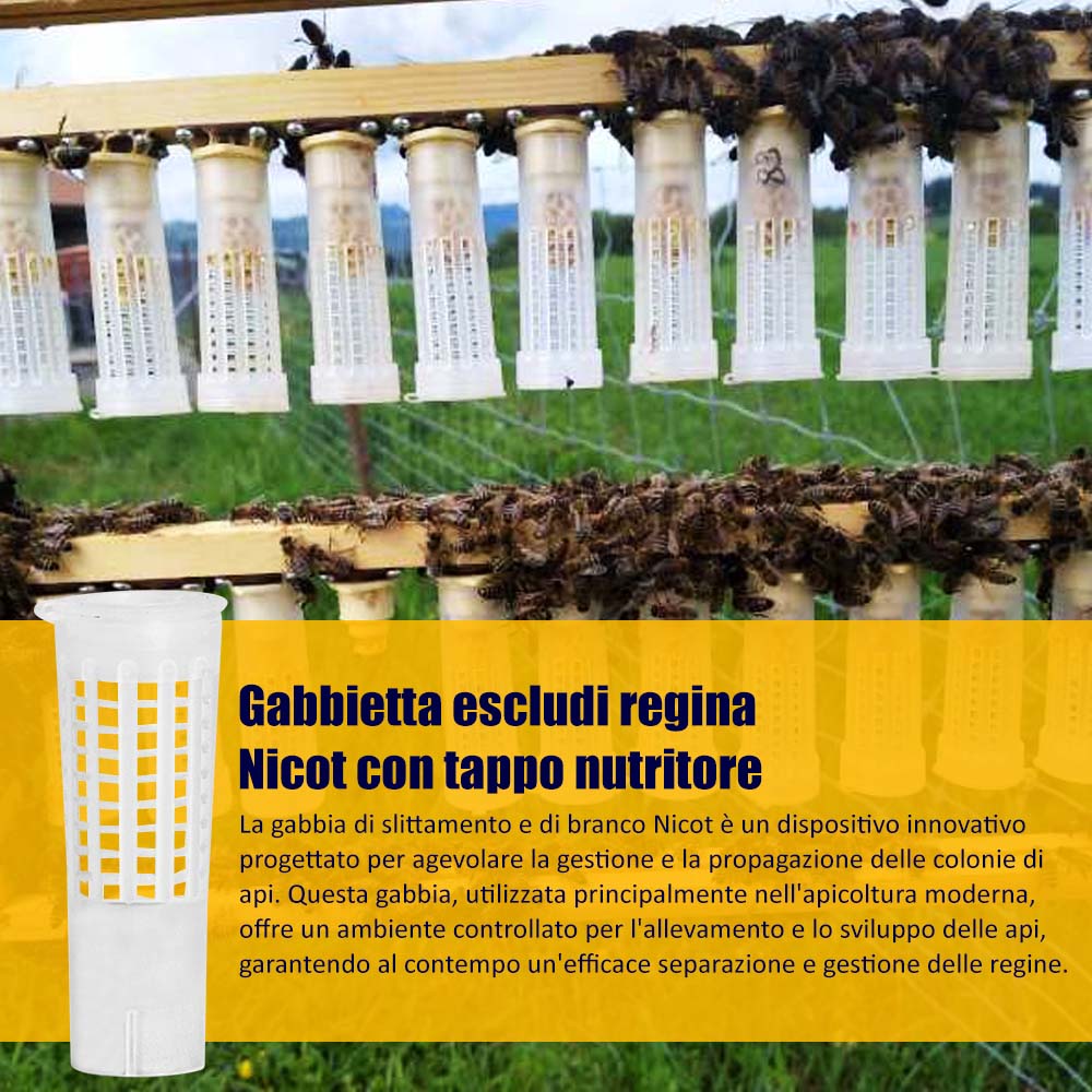Gabbietta escludi regina Nicot con tappo nutritore - Image 15