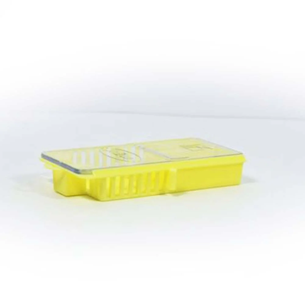 Gabbietta per trasporto e inserimento con sistema multicamera per apicoltura - Image 4