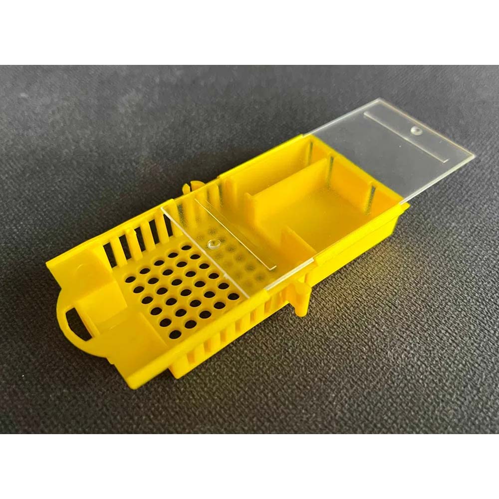 Gabbietta per trasporto e inserimento con sistema multicamera per apicoltura - Image 5