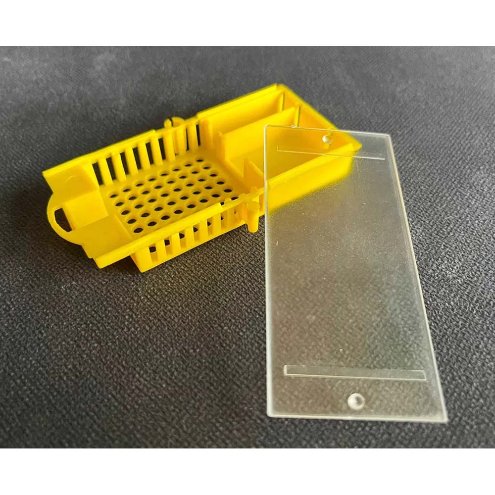 Gabbietta per trasporto e inserimento con sistema multicamera per apicoltura - Image 6