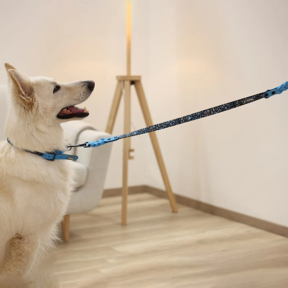 Guinzaglio per Cani Lima Nero/Blu in Plastica – 100cm - Image 7