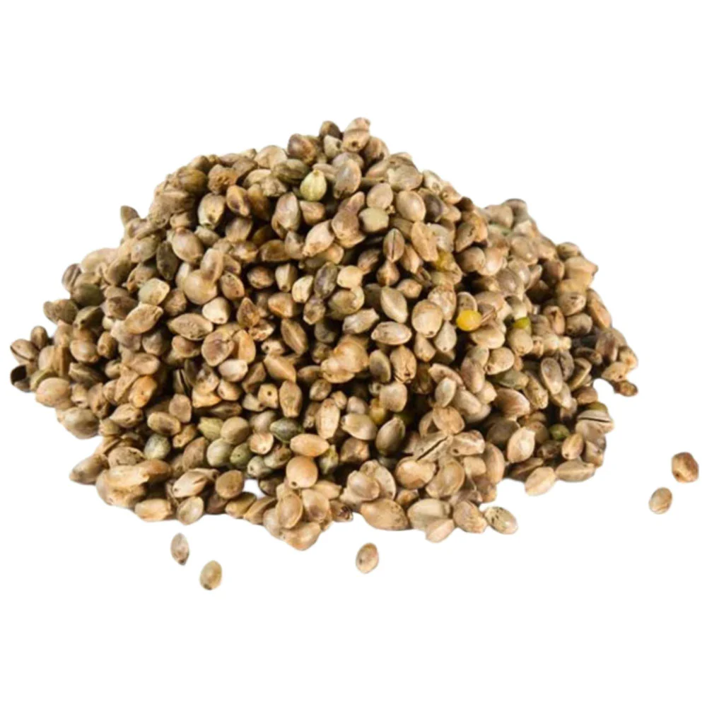Hanfsaat Mangime Semi di Canapa per Uccelli - 1kg - Image 3