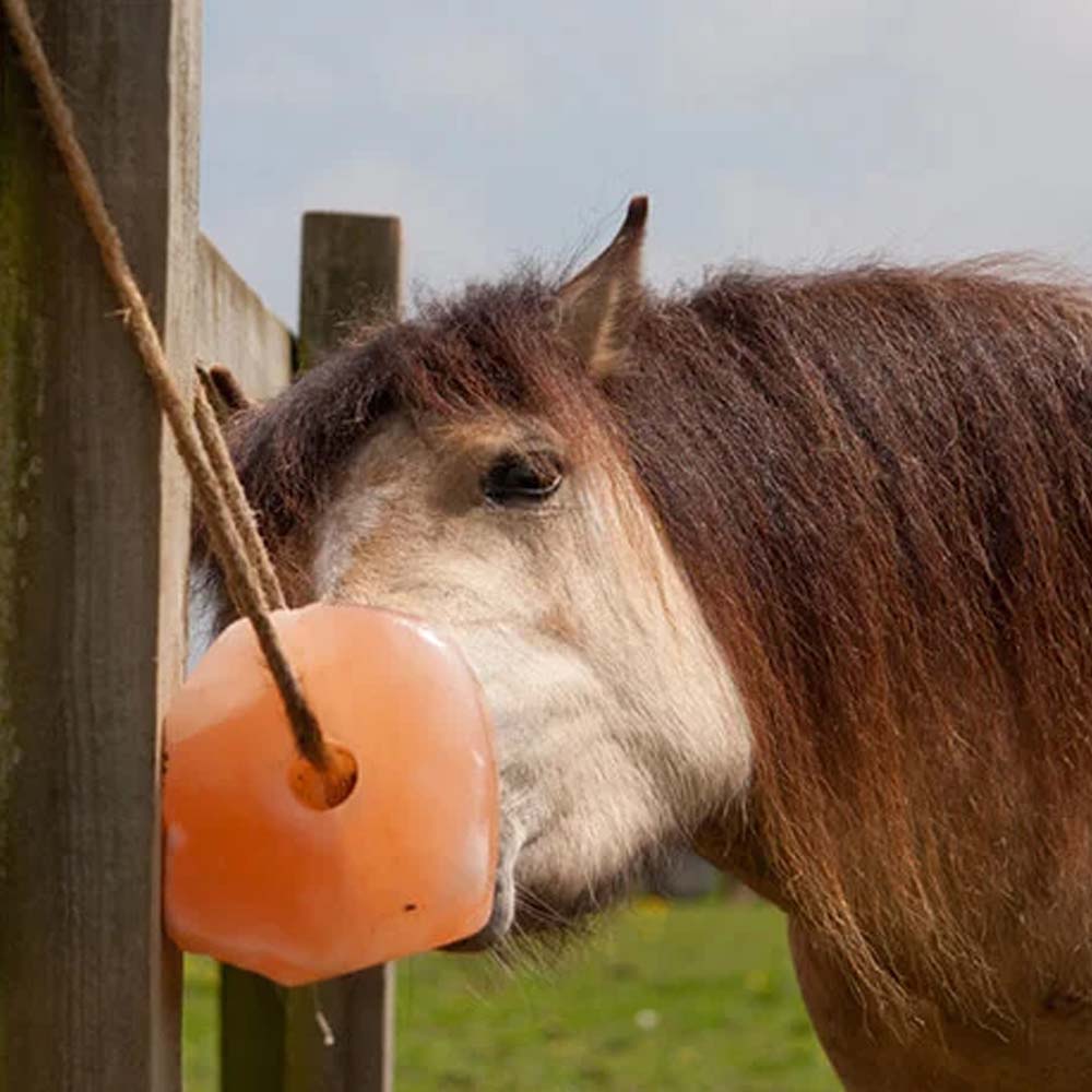 Himalaya blocco di sale dell' per tutti gli animali - Image 3