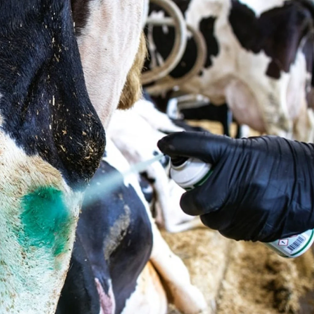 Intra Repiderma Spray per la Cura della Pelle e Degli Zoccoli - Image 3