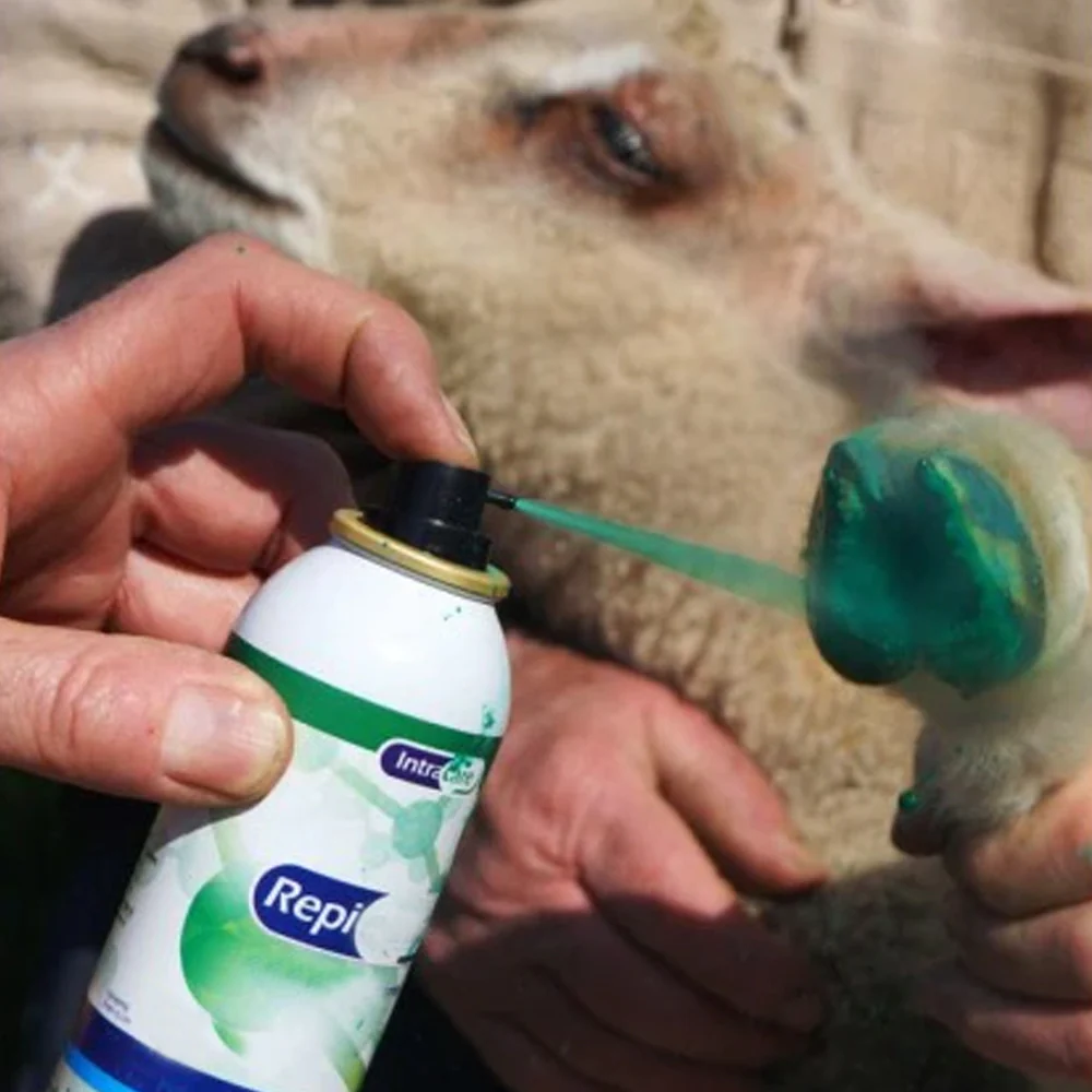Intra Repiderma Spray per la Cura della Pelle e Degli Zoccoli - Image 4