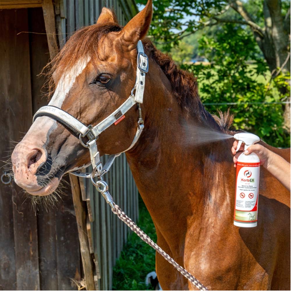 Kerbex rosso con aglio I repellente insetti I antimosche per cavalli - Image 10
