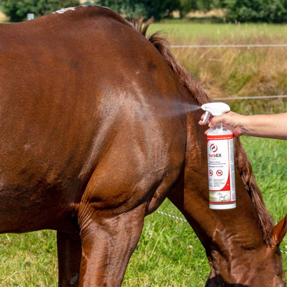 Kerbex rosso con aglio I repellente insetti I antimosche per cavalli - Image 11