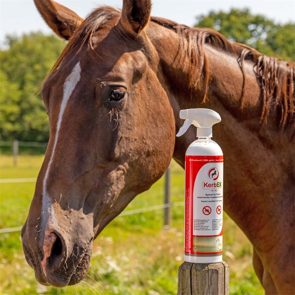 Kerbex rosso con aglio I repellente insetti I antimosche per cavalli - Image 5
