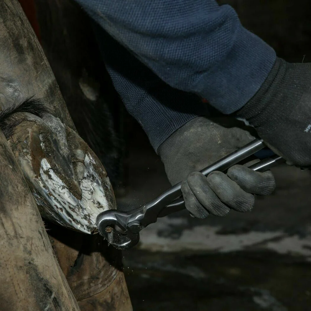 Knipex tenaglia da pareggio - cura degli zoccoli per bovini | strumento professionale 30 cm - Image 4
