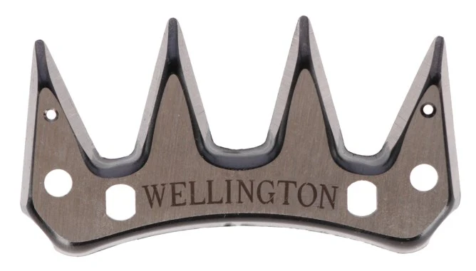 Lama di Protezione Wellington - Image 2