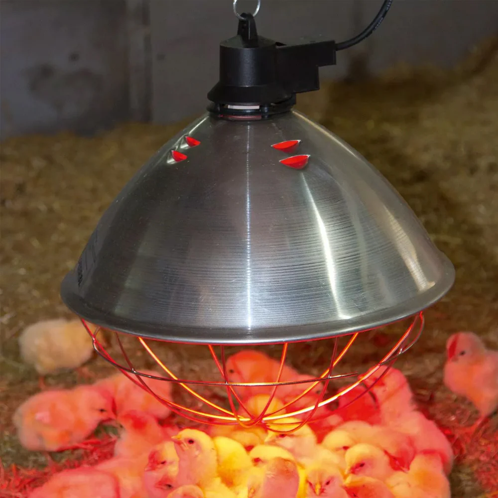 Lampada a infrarossi Philips - Image 3
