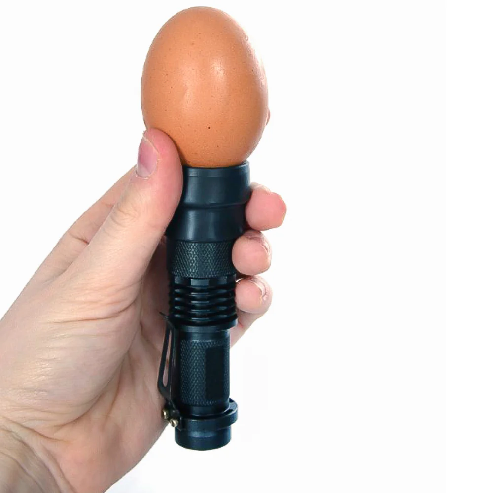 Lampada LED Sperauova per Monitorare lo Sviluppo degli Embrioni nelle Uova - Image 6