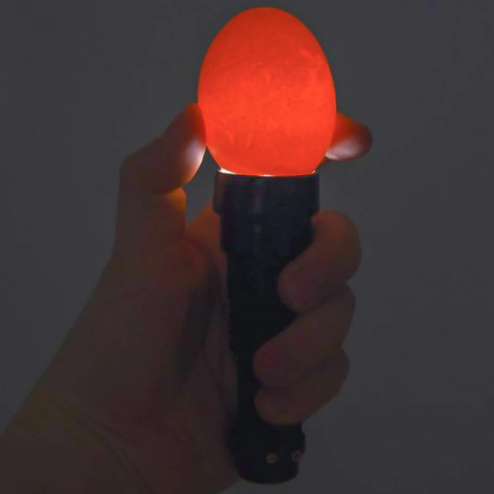 Lampada LED Sperauova per Monitorare lo Sviluppo degli Embrioni nelle Uova - Image 7