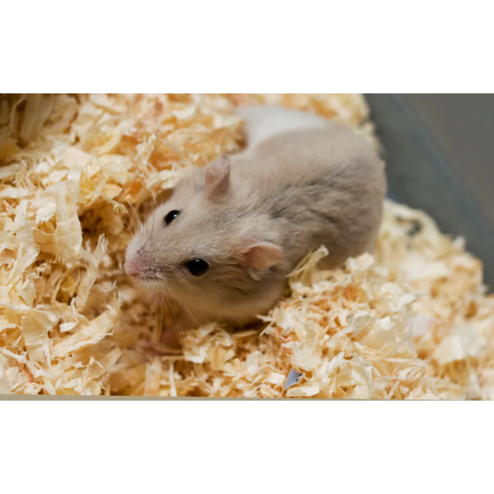 Lettiera Per Animali Piccoli Chipsi 3,2kg - Image 5