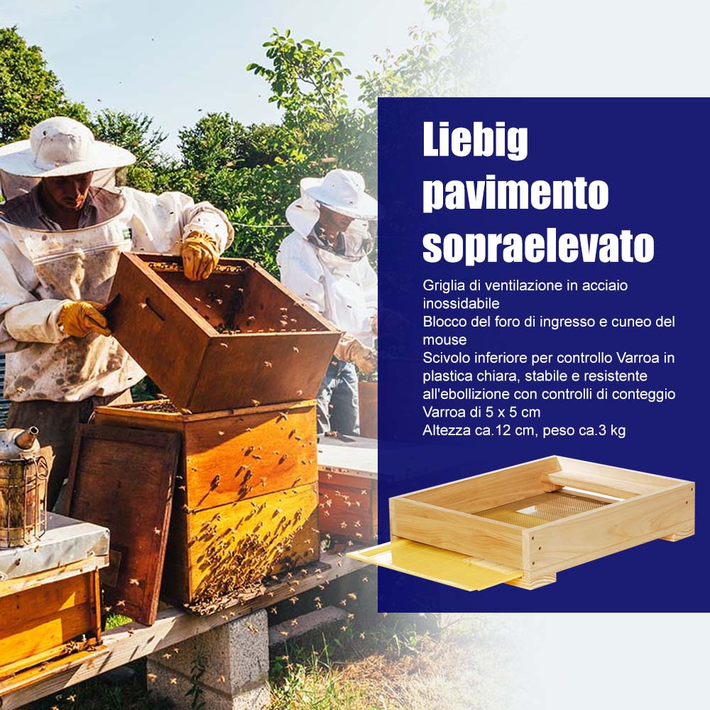 Liebig pavimento sopraelevato - Image 4