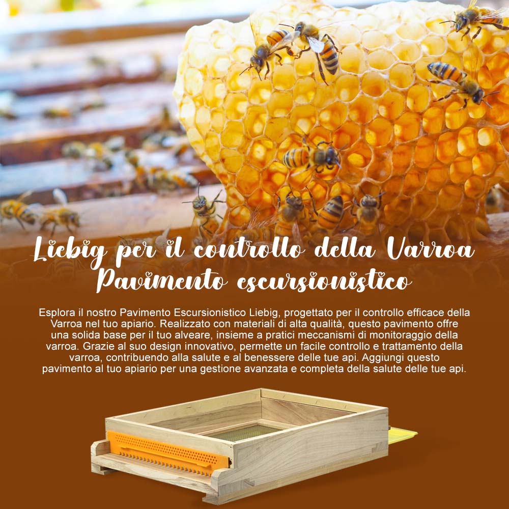 Liebig per il controllo della Varroa Pavimento escursionistico - Image 7