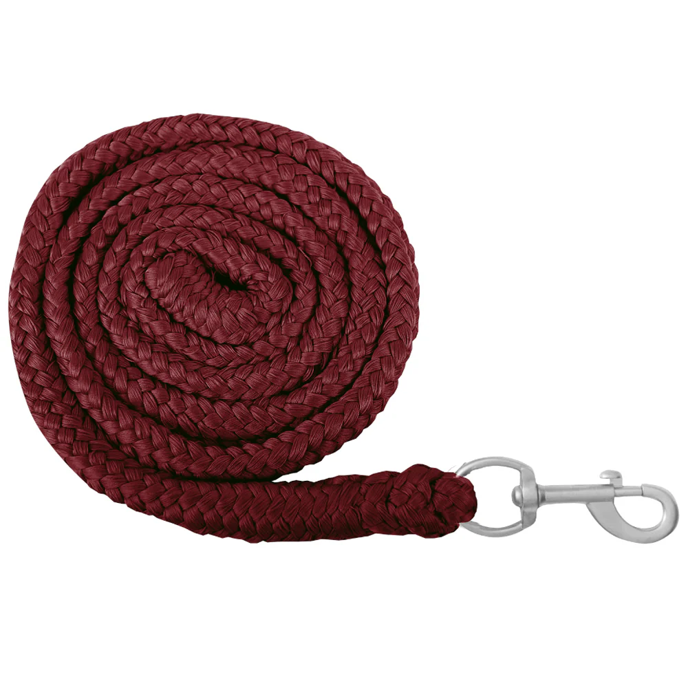 Lunghina da Riposo Economica con Moschettone 2 m - Image 3