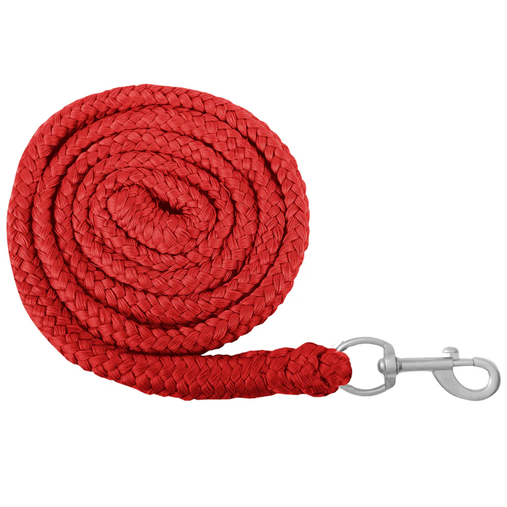 Lunghina da Riposo Economica con Moschettone 2 m - Image 4
