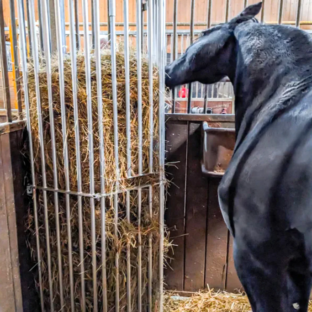 Mangatoia da Parete Regolabile per Cavalli – da 1,00 a 2,00 m per Stalla e Recinto - Image 10