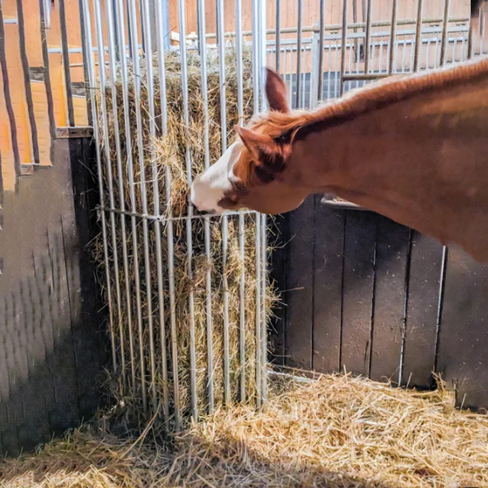 Mangatoia da Parete Regolabile per Cavalli – da 1,00 a 2,00 m per Stalla e Recinto - Image 12