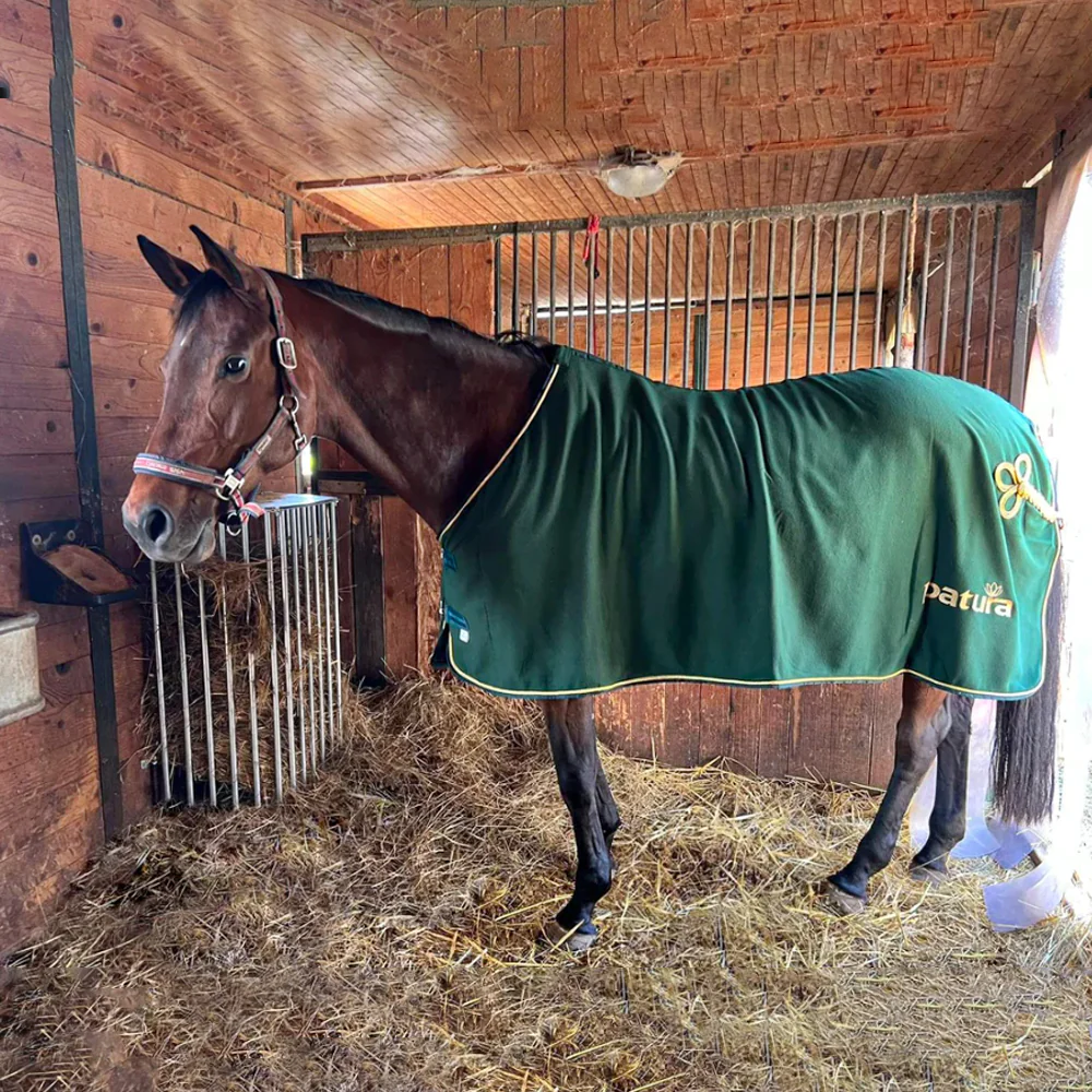 Mangatoia da Parete Regolabile per Cavalli – da 1,00 a 2,00 m per Stalla e Recinto - Image 7