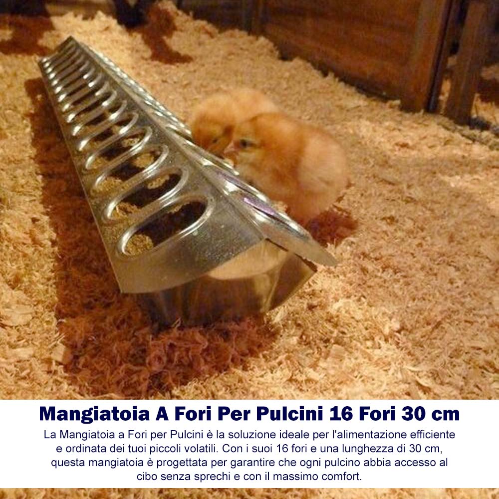 Mangiatoia A Fori Per Pulcini 16 Fori 30 cm - Image 8
