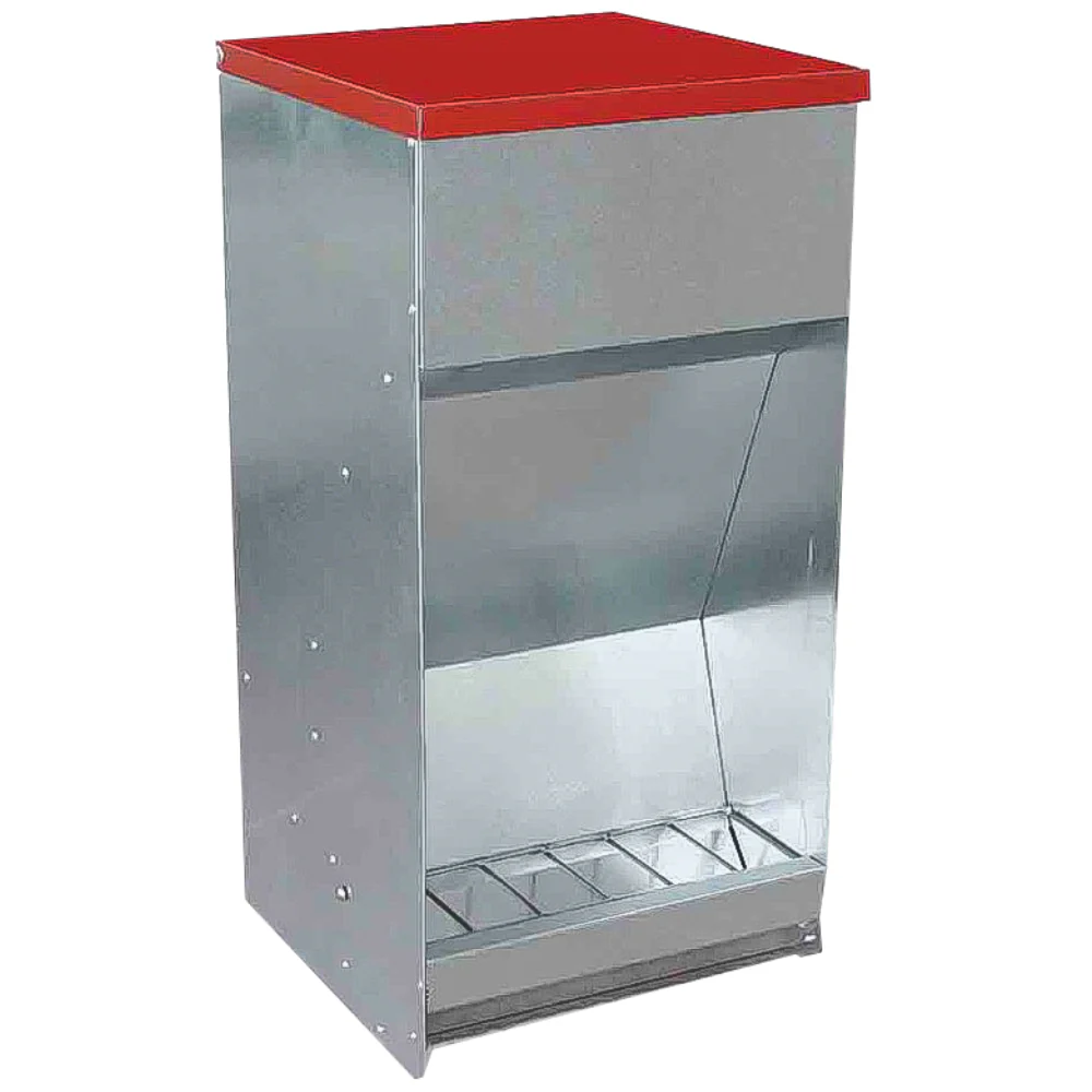 Mangiatoia Automatica AVI-FEED – Distributore Programmabile in Metallo per Pollame, Anatre e Selvaggina