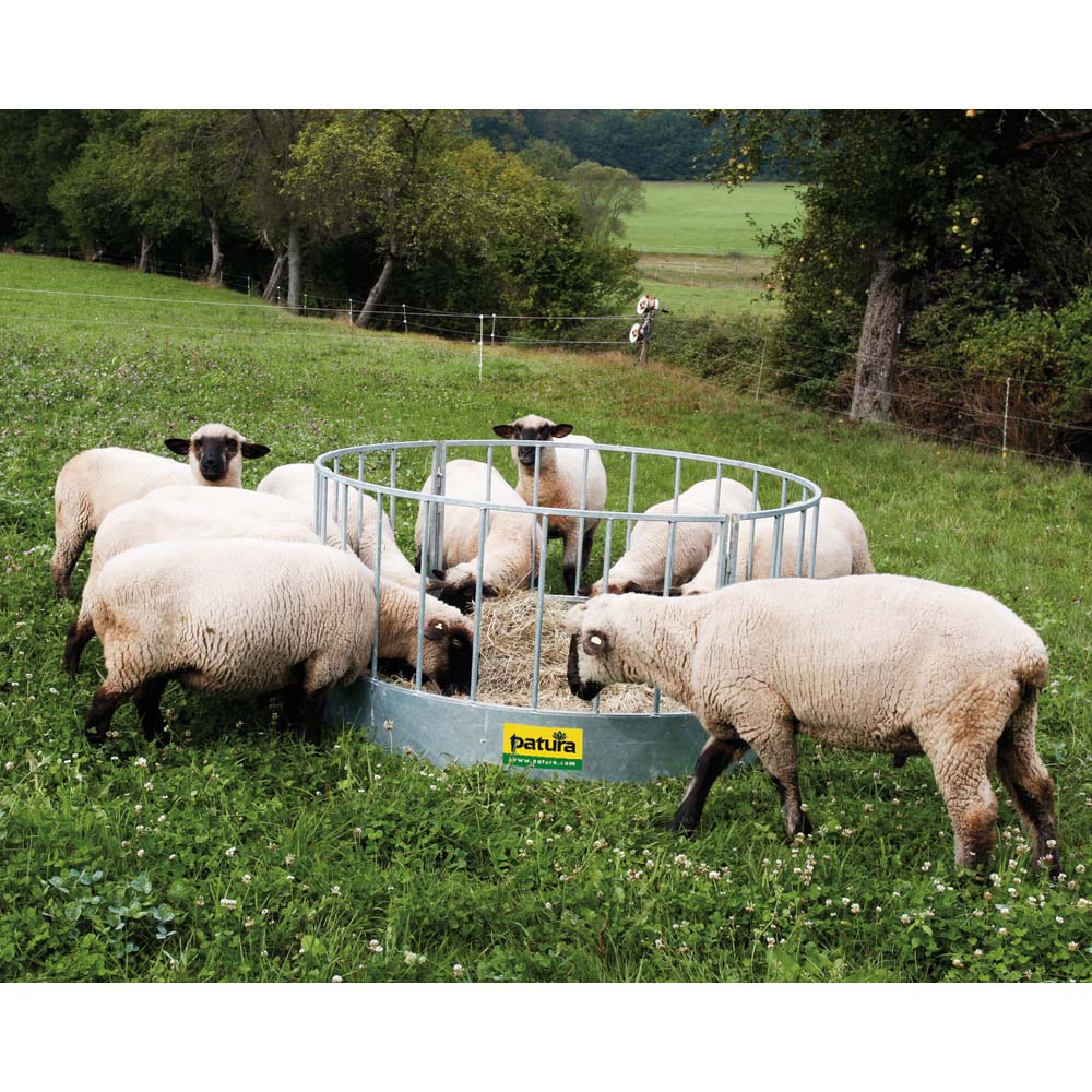 Mangiatoia Rotonda – Soluzione Pratica e Resistente per l'Alimentazione - Image 5