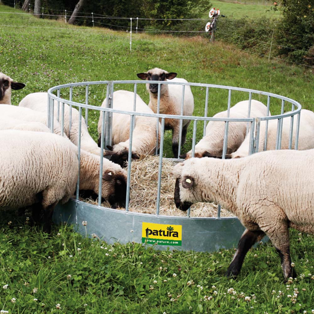 Mangiatoia Rotonda – Soluzione Pratica e Resistente per l'Alimentazione - Image 8