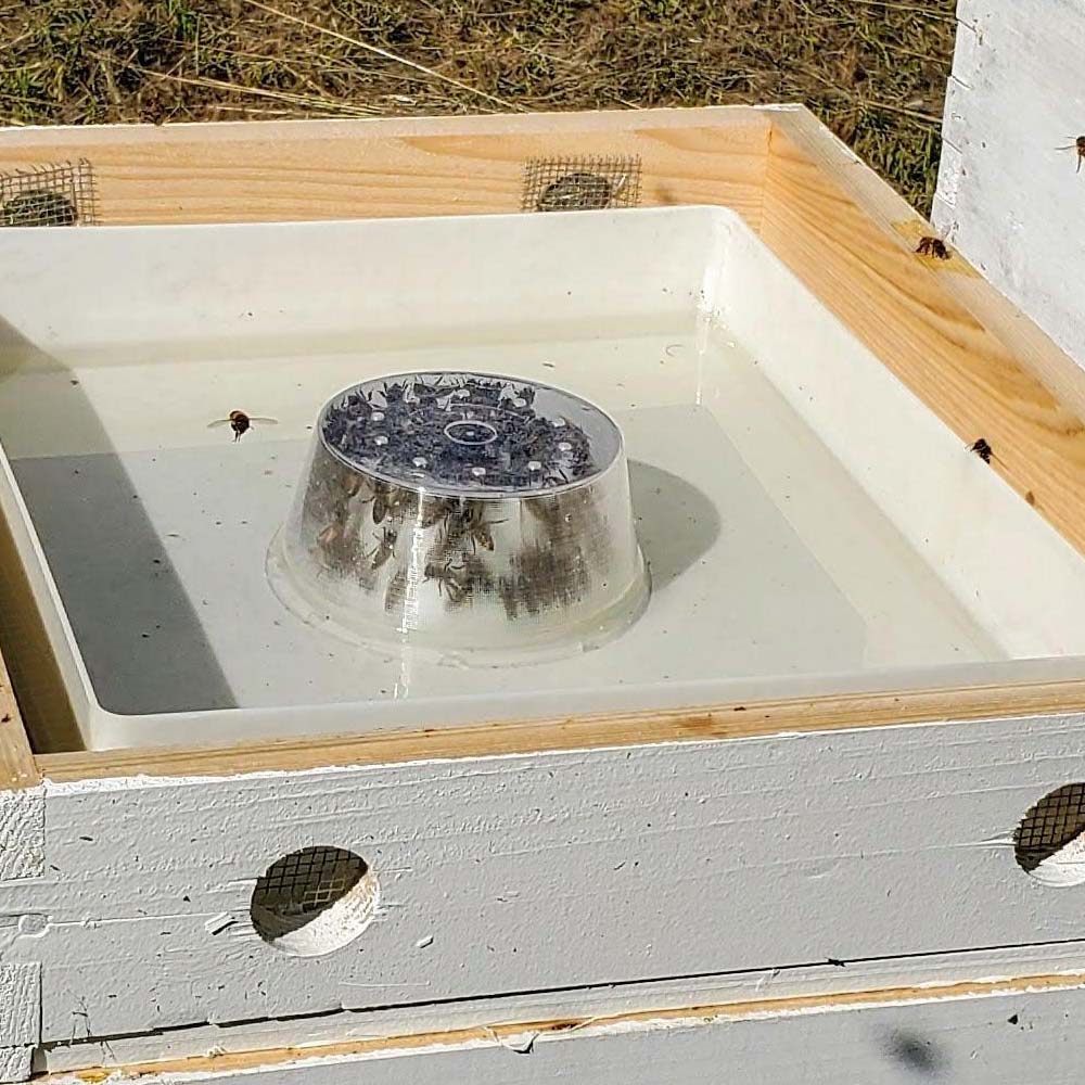 Mangiatoia Dadant in plastica quadrata da 4 l con coperchio - Image 9
