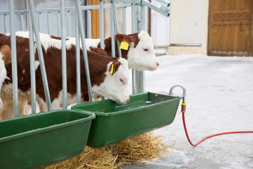 Mangiatoia in Plastica Lunga con Valvola a Galleggiante per Animali - Image 7
