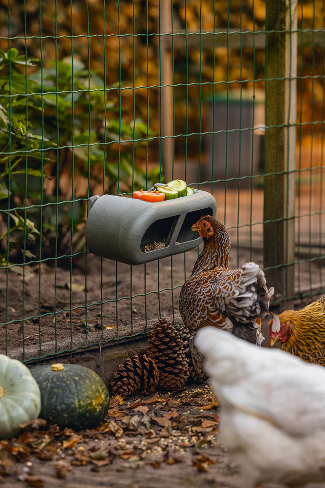 Mangiatoia per Galline con Velcro 100% Riciclato – Compatta e Resistente - Image 11