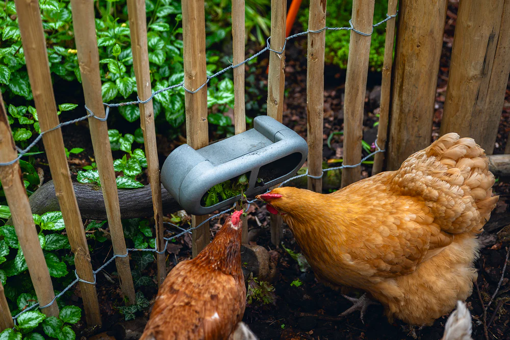Mangiatoia per Galline con Velcro 100% Riciclato – Compatta e Resistente - Image 15