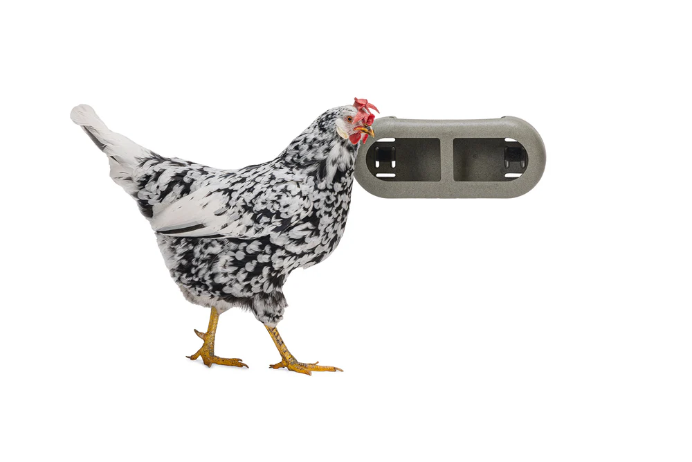 Mangiatoia per Galline con Velcro 100% Riciclato – Compatta e Resistente - Image 4