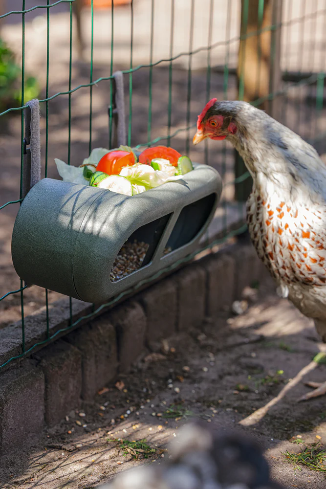 Mangiatoia per Galline con Velcro 100% Riciclato – Compatta e Resistente - Image 7