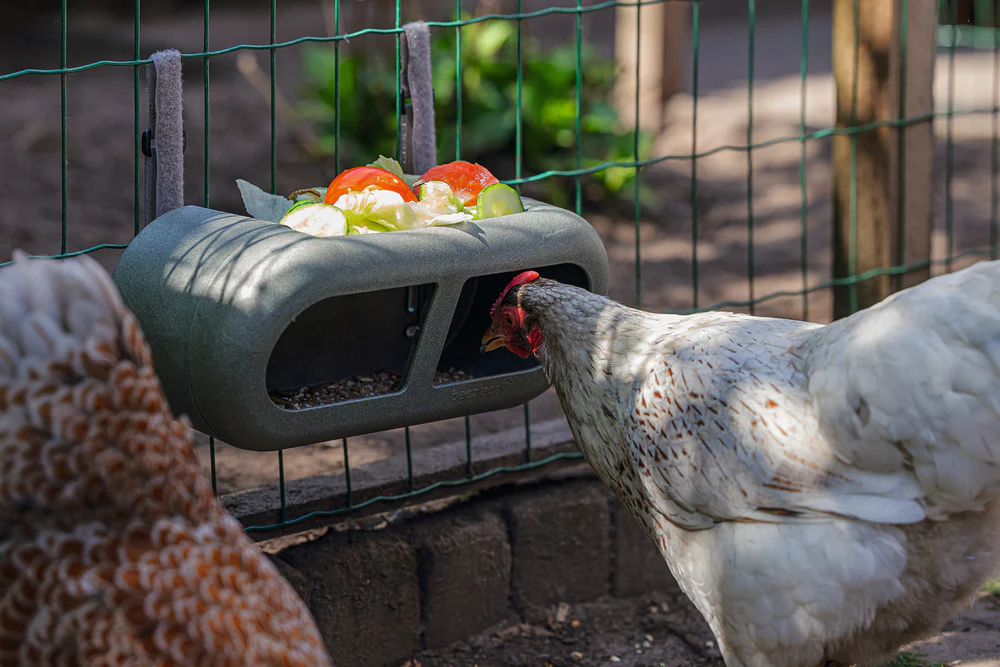 Mangiatoia per Galline con Velcro 100% Riciclato – Compatta e Resistente - Image 9